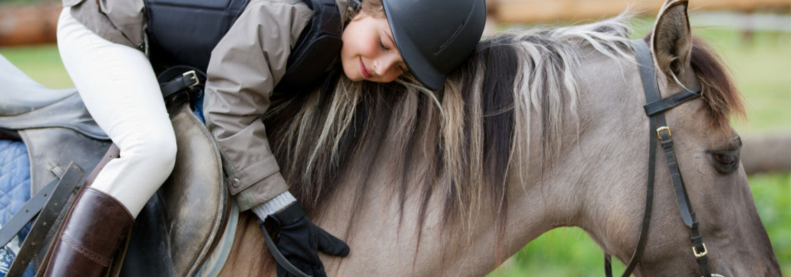 Apporter un confort maximum à votre cheval