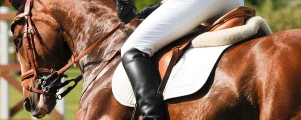 @pantalon equitation