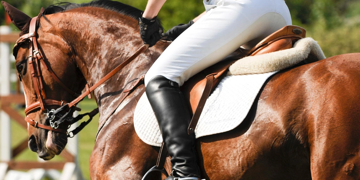 @pantalon equitation
